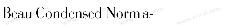 Beau Condensed Norma字体转换